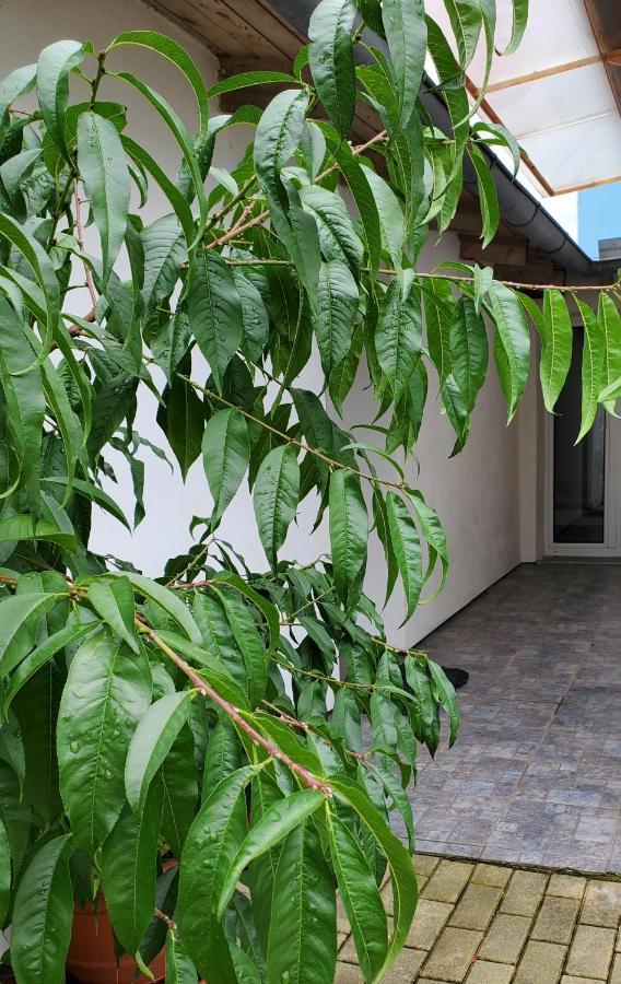브르노 Apartman Stary Liskovec 아파트 외부 사진